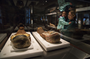 Museum_Moving_Artifacts-_Michigan_copy